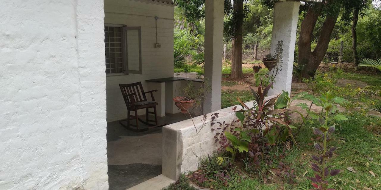 Isai Ambalam Guest House Ποντισερί Εξωτερικό φωτογραφία